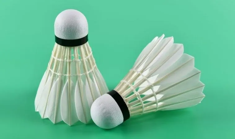 cầu lông tại 8KBet