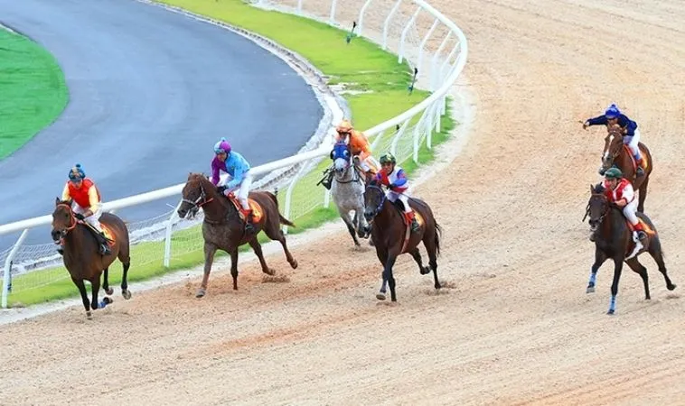 Tìm Hiểu Cá Cược Đua Ngựa 8KBet: Hành Trình Giải Trí Kịch Tính 2 Cần tìm hiểu kỹ lưỡng về ngựa chiến trước khi tham gia cá cược đua ngựa 8KBet